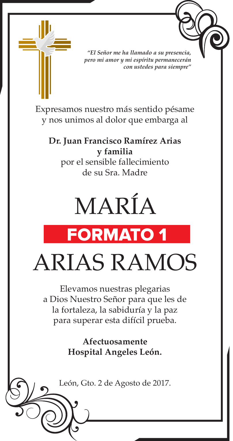 Formato 1