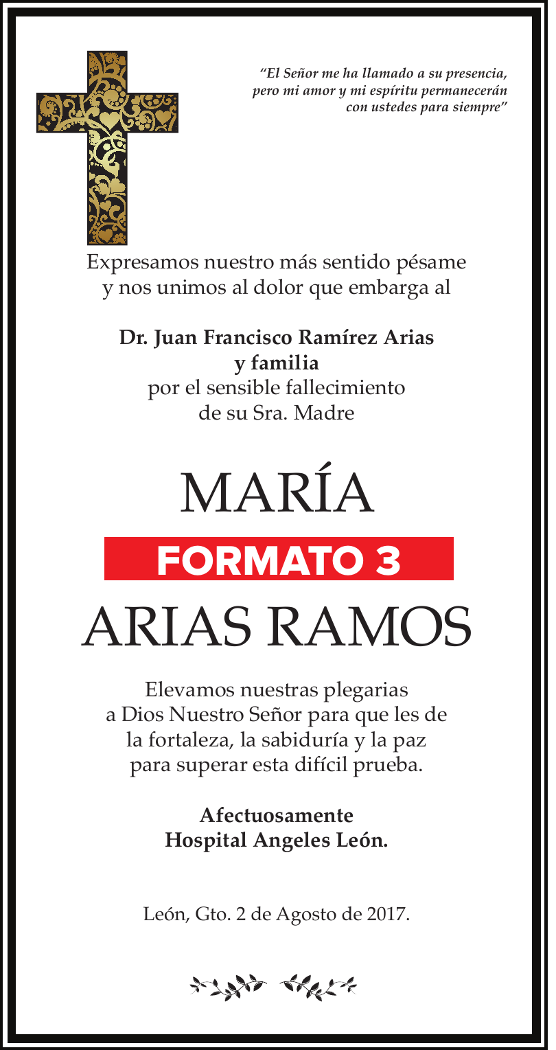 Formato 3