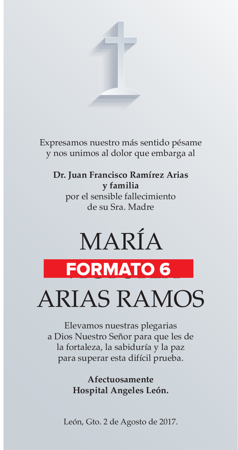 Formato 6