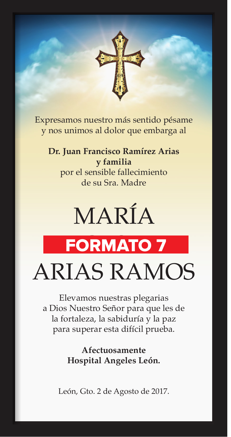Formato 7